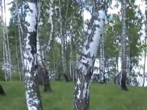 ИЛЬХАМ ШАКИРОВ - СИН САЗЫННЫ УЙНАДЫН