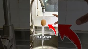 🤔 Яйцо зависает в Струе воды! Эффект..