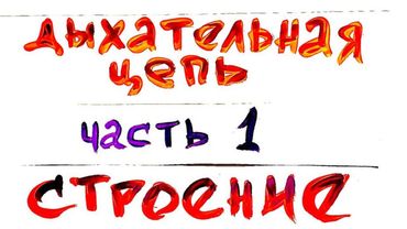 Тканевое дыхание. Ч. 1. Строение дыхательной цепи митохондрий. Биохимия