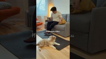 а как проходит ваше утро?