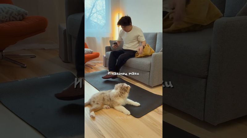 а как проходит ваше утро?