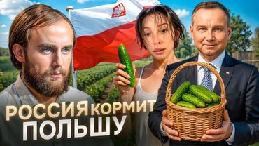 РУССКИЕ ЖИВУТ ЛУЧШЕ ВСЕХ? | #ШО 86