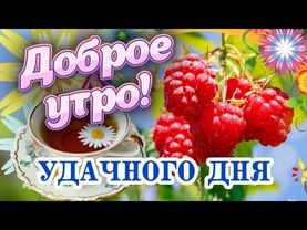 Доброго утра и ещё лучшего дня! ❤️ Доброго утречка Вам! 👌Самые теплые пожелания с Добрым утром! 🎀
