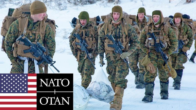 Corpo dei Marines degli Stati Uniti: Esercitazioni Militari Invernali in Norvegia, NATO.