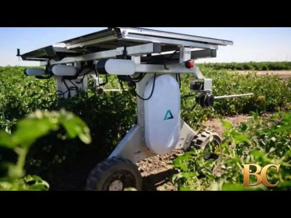 Solar-powered robot zaps weeds without chemicals
