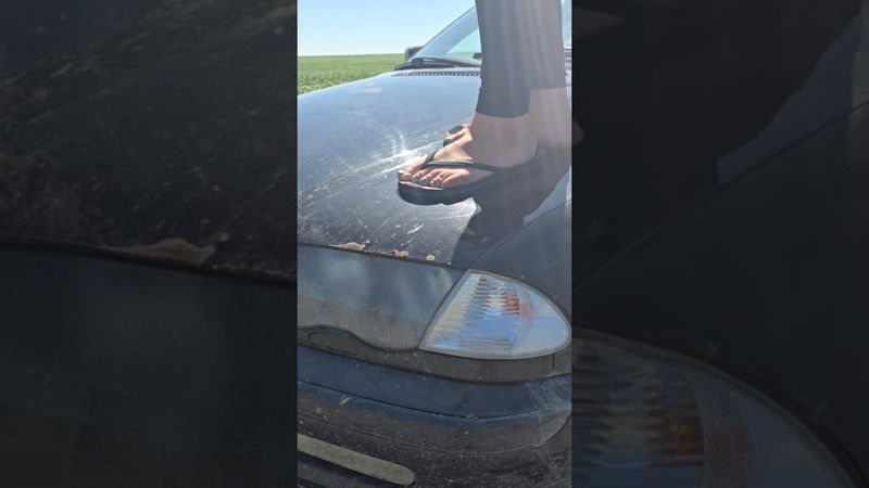 Pebbles walks on car hood in flip-flops #crushexperiment #crushtest #asmrcrush #sandals
