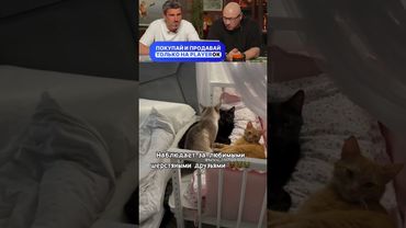 ЗАСМЕЯЛСЯ - ПОДПИСАЛСЯ! Ч.09🤣  ПОПРОБУЙ НЕ ЗАСМЕЯТЬСЯ!