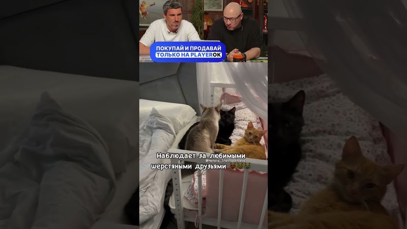 ЗАСМЕЯЛСЯ - ПОДПИСАЛСЯ! Ч.09🤣  ПОПРОБУЙ НЕ ЗАСМЕЯТЬСЯ!