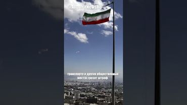 В Иране запретили выгул собак в крупных городах