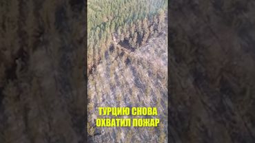 В турецкой провинции Балыкесир произошел лесной пожар