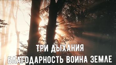 Дыхания из формы Благодарность Воина Земле