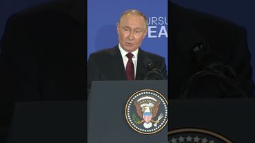 Переговоры Зеленского и Путина могут пройти в Турции