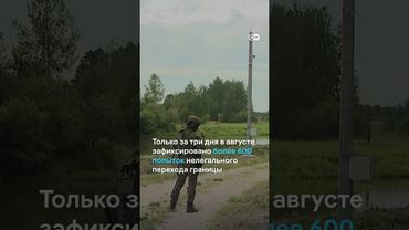 Мигрантов на границе Беларуси и Польши становится больше