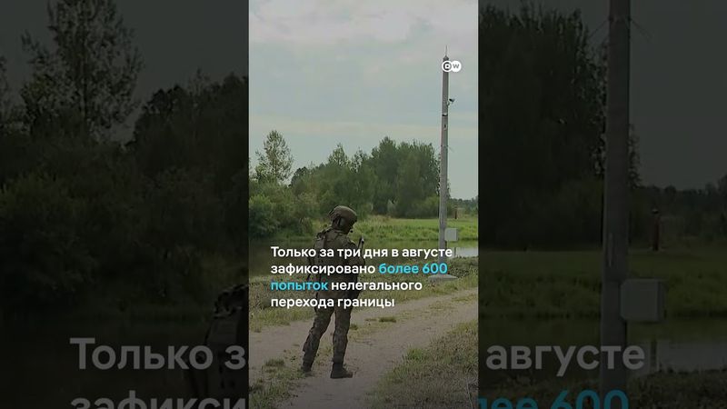 Мигрантов на границе Беларуси и Польши становится больше