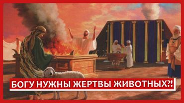 Богу нужны жертвы животных?! | Раввин Михаил Финкель