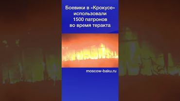 Боевики в «Крокусе» использовали 1500 патронов во время теракта