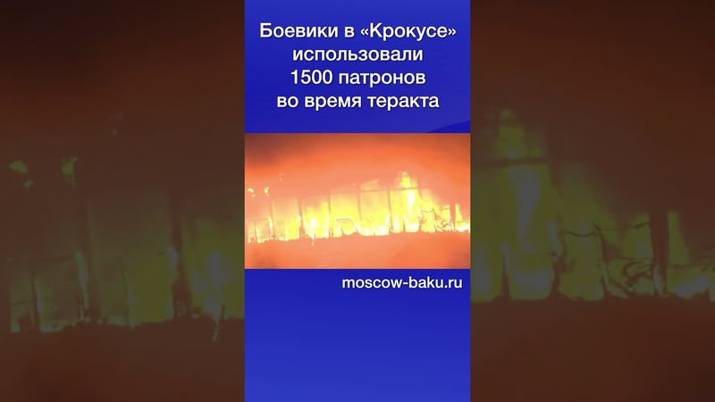 Боевики в «Крокусе» использовали 1500 патронов во время теракта