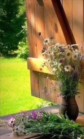 TikTok video #6983790047149493506