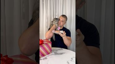 Живу с 4-мя кошками🐈🐈🐈🐈👨#котики #кошки #котята #прикольныекоты #cat #funnycats #уют