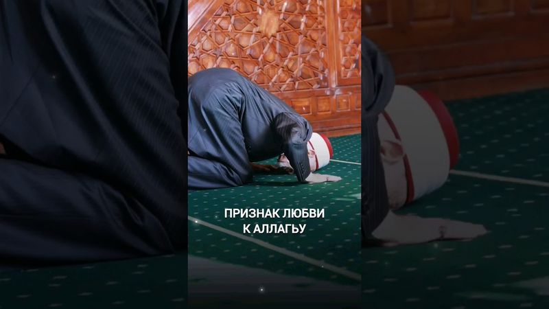 ПРИЗНАК ЛЮБВИ К АЛЛАГЬУ | Шейх Мухаммад Саид Рамадан аль-Буты