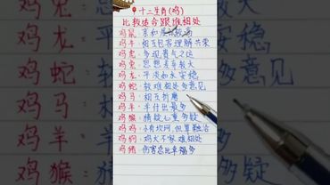 屬雞的人最適合與誰相處？12生肖相合大解析