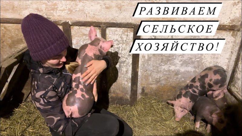 Привезли новое поголовье, аж за 500 км! Кто еще будет жить на нашей ферме? Жизнь в деревне
