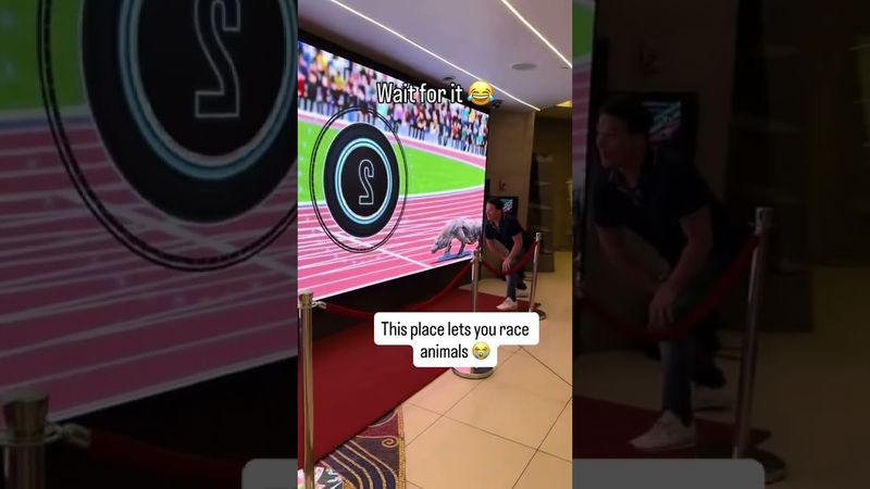 He won but at what cost 😭 (via @alxxwilson/TT)