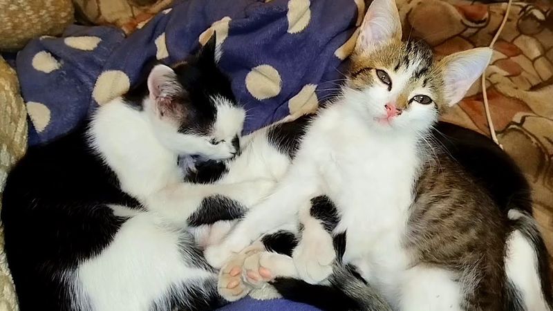 #Славянск. 28 сентября 2025г. Вечер.