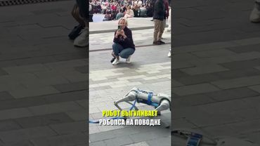 В Москве робот выгуливает робопса на поводке в рамках форума «Москва-2030»