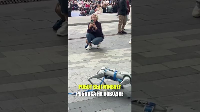 В Москве робот выгуливает робопса на поводке в рамках форума «Москва-2030»