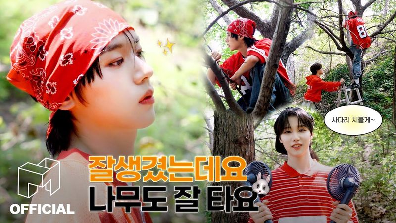 idntt 아이덴티티 | 바람타고🌬️ 리듬타고🎼 나무타는🌳 태인이