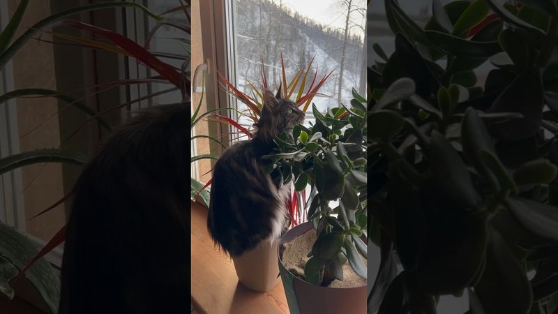 Кто-нибудь знает как её отучить от этого???