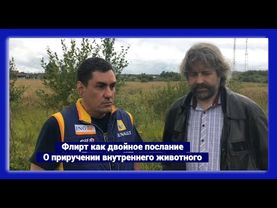 Флирт как двойное послание. О приручении внутреннего животного (мужской разговор)