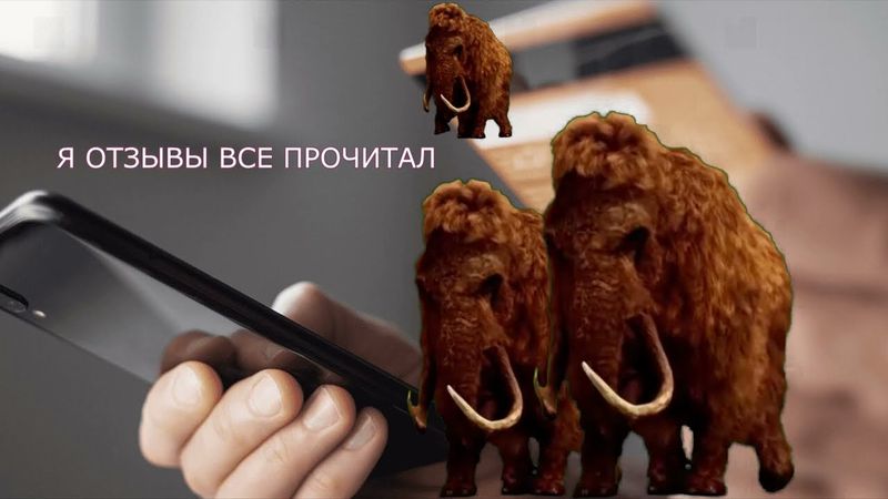 ПЕСЕНКА МАМОНТА