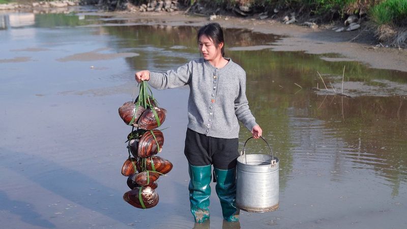 Draining the Water of Pond! Catching Shells, Loaches, Crayfish and a Lot of Fish!