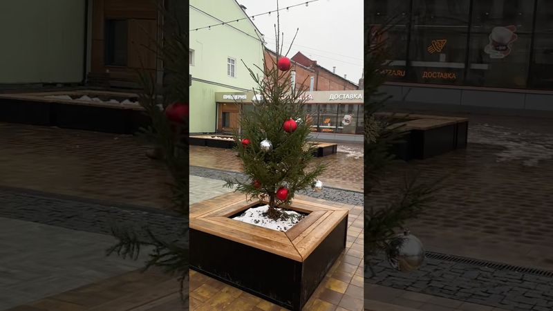 Улица города преображается к Новому году 🌲 #тамбов #елка #новыйгод
