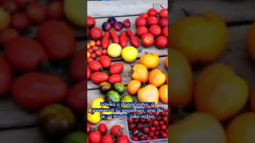 Savjeti za sprječavanje trovanja hranom ljeti