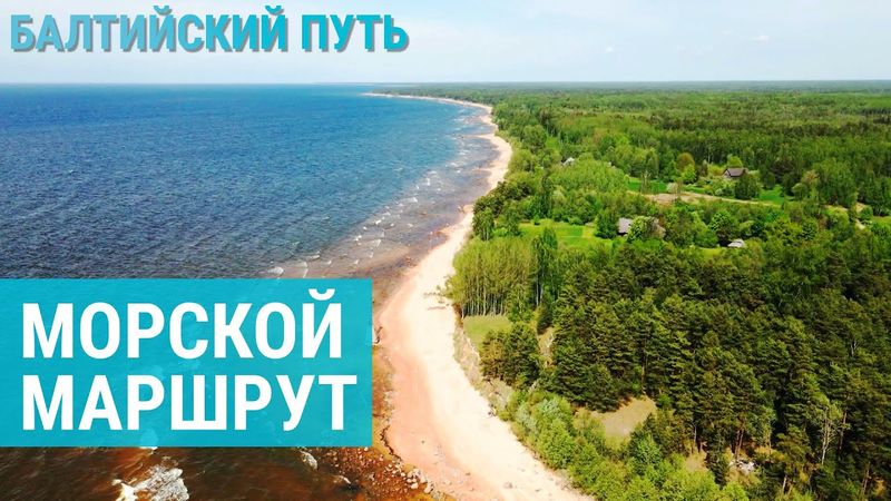 Таллинн сегодня: бесплатный транспорт, обновленные хрущевки и старое шоссе | БАЛТИЙСКИЙ ПУТЬ