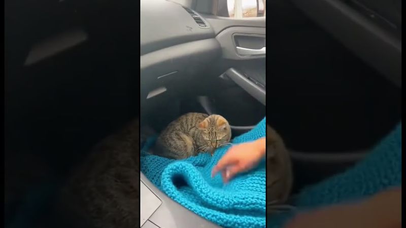 #comedyprank #lifeisbutadream #whowillbemylifepartnerta #prankvideo #comedyvideo #soccer #worldcup