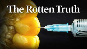 Exposing the Monsanto Conspiracy