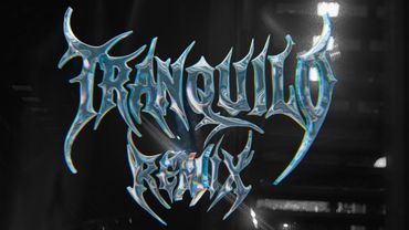 Louis BPM, Farruko, J Balvin, Kris R., iZaak,  - Tranquilo (Remix Oficial)