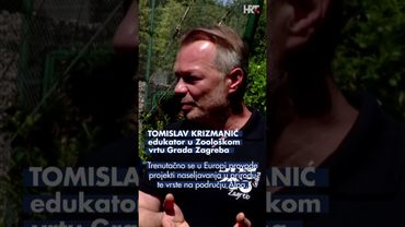 Sto godina Zoološkog vrta: Od 3 lisice i 3 sove do centra za očuvanje prirode