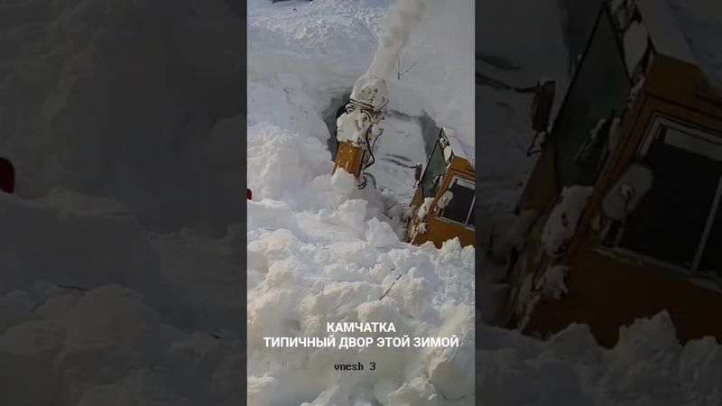 Камчатка этой зимой. Типичный двор. #Камчатка #зима #снег #пурга #циклон