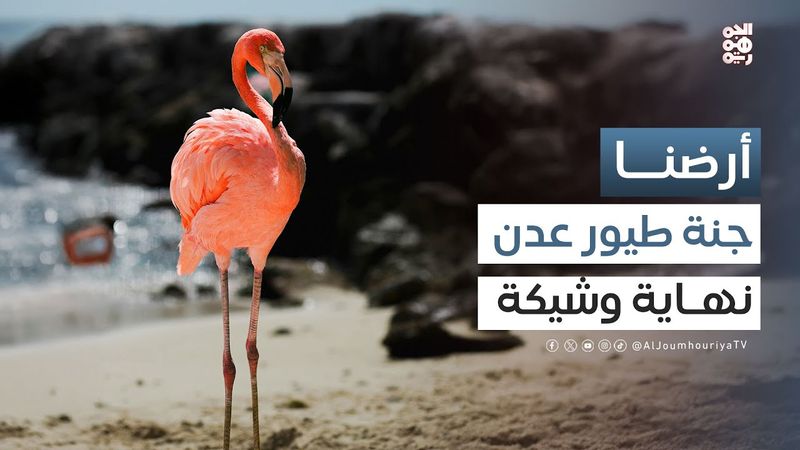 أرضنا | محمية الحسوة.. جنة طيور تواجه الاندثار