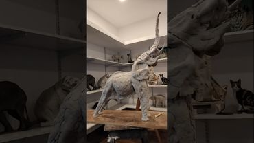 elephant sculpture 🐘