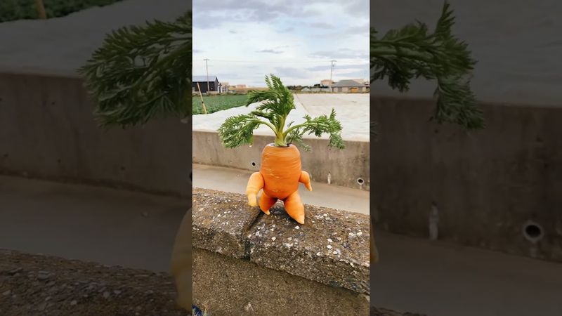 CARROT BOSS #ai #aivideo #artificialintelligence #vegetables