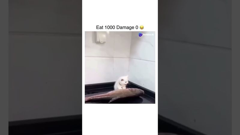 Кот ест рыбку #милота #котенок