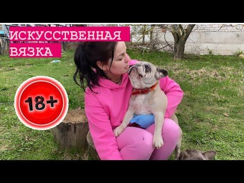 18+ искусственная вязка собак. Показываю и рассказываю !