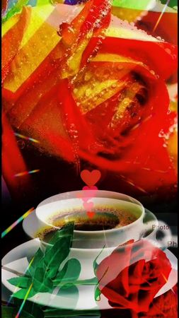 #улыбнись #😁 #новый #день #☀️#доброеутро #🌹 #❤️ #всемдобра