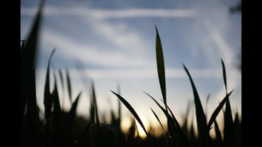 Победа над Вирусами!